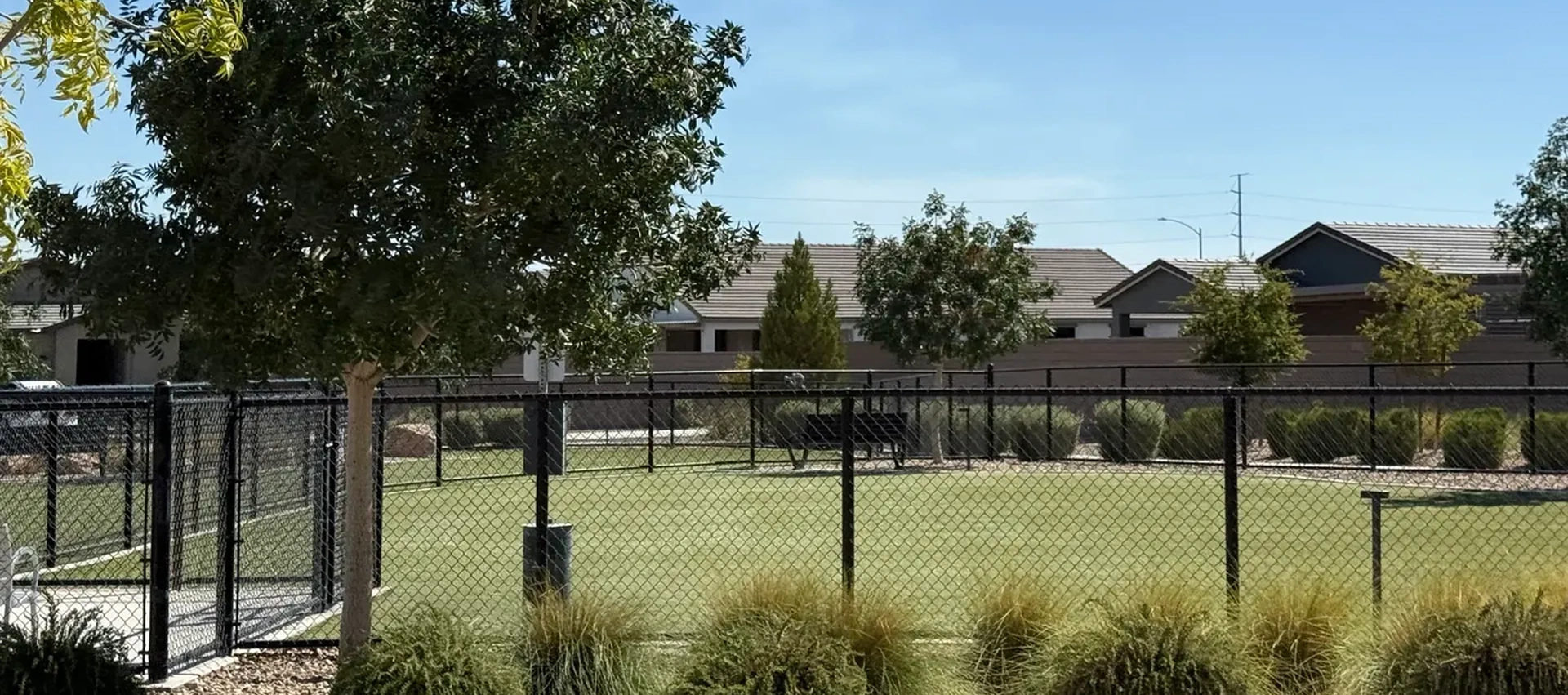 Fenced grassy park with trees and shrubs.