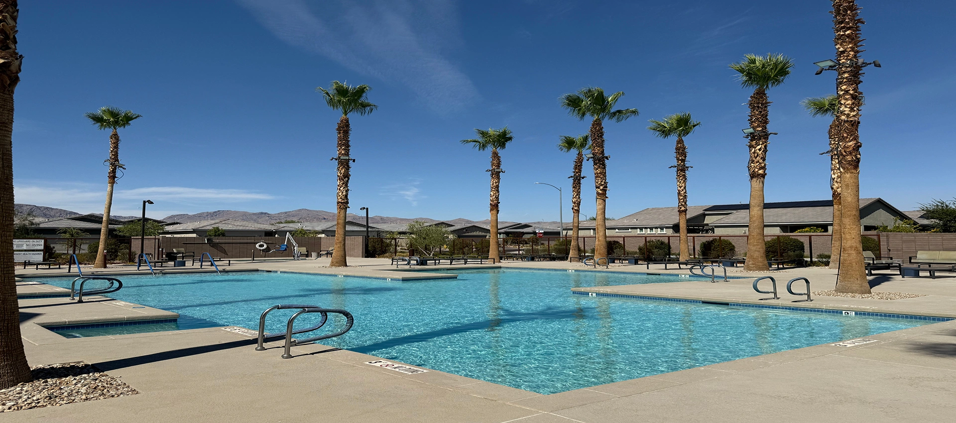 Outdoor pool with palm trees and mountains.